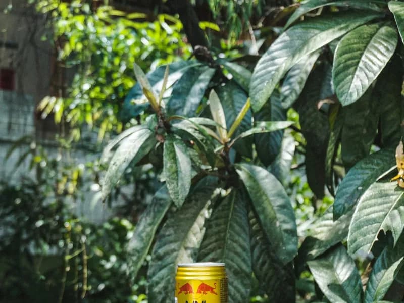 Travel guide for Guilin