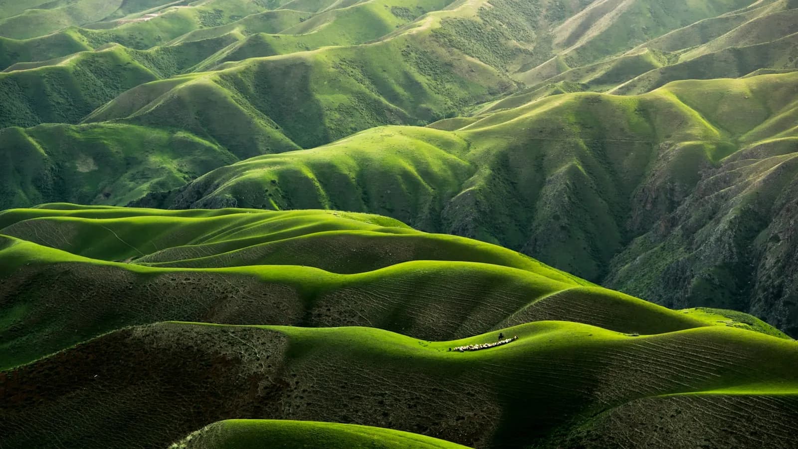 East China