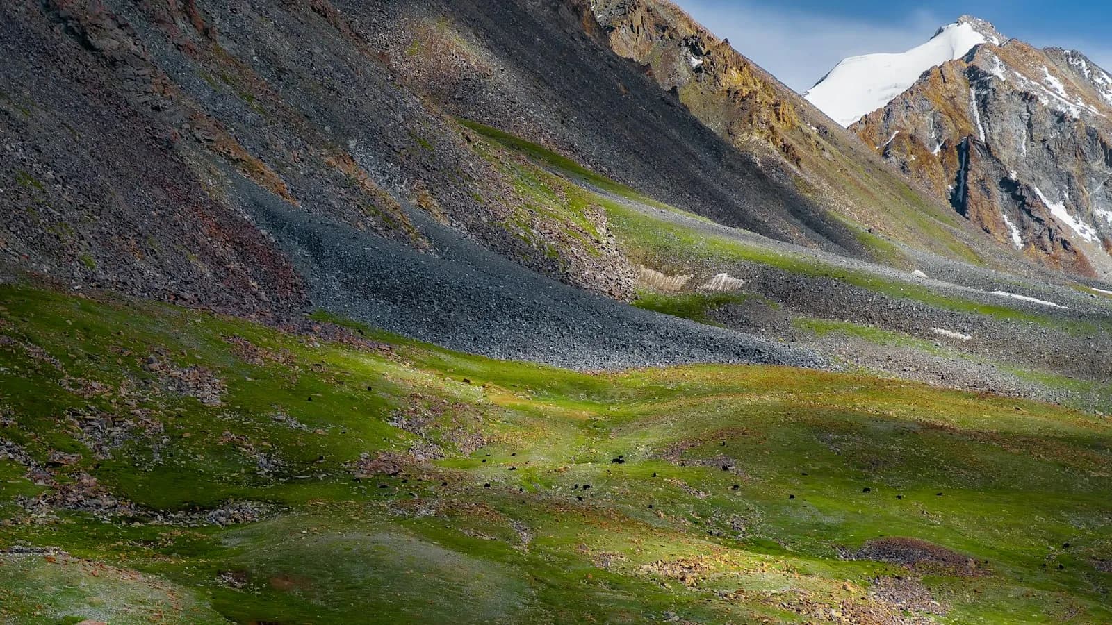 Tibet
